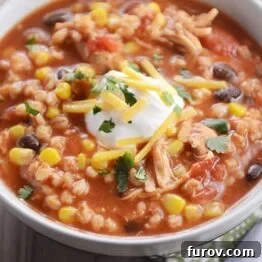 Hearty Southwestern Chicken Barley Chili 5 A bowl of delicious Southwestern Chicken Barley Chili, ready to be enjoyed.