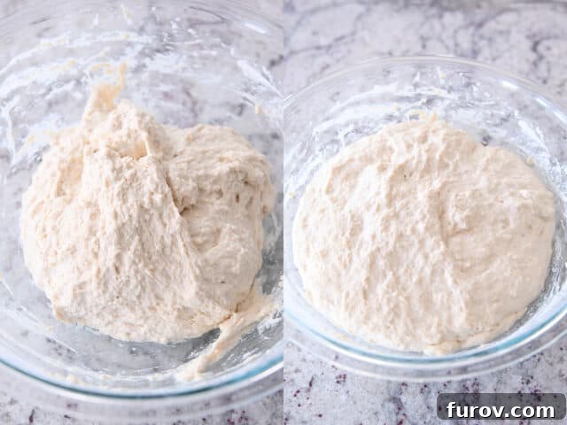 Unrisen and risen sourdough peasant bread in glass bowls.