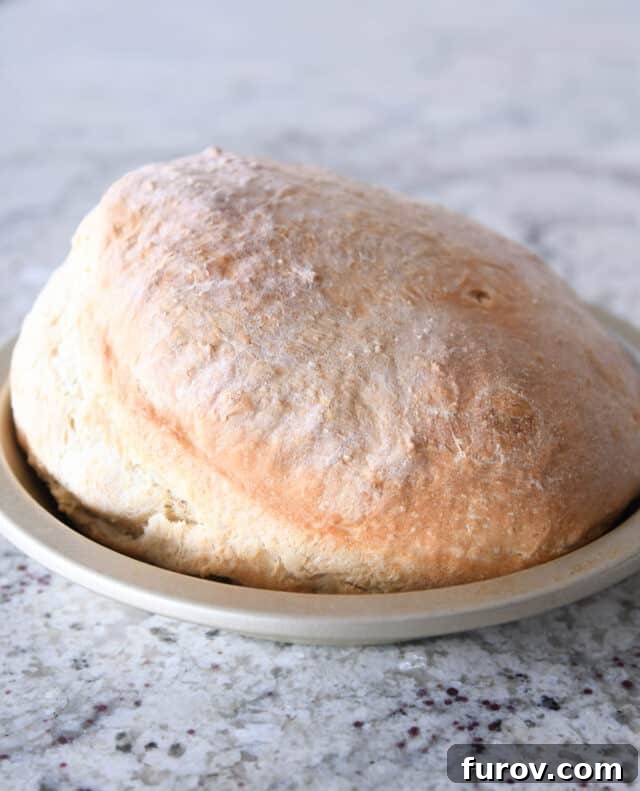 Baked loaf of sourdough peasant bread in metal tin.