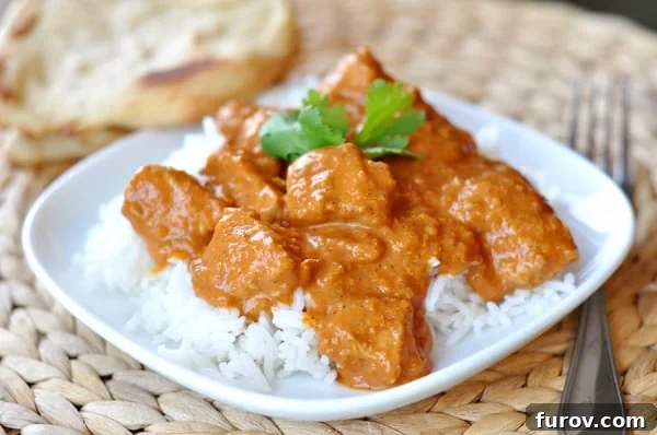 Makhani Delight 2 A white dish with rice and Indian chicken and sauce on top, garnished with fresh cilantro.
