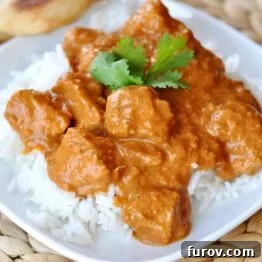 Makhani Delight 4 Close-up of Indian Butter Chicken served with rice.
