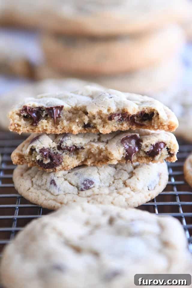 Two cookie halves stacked with melty chocolate chips.