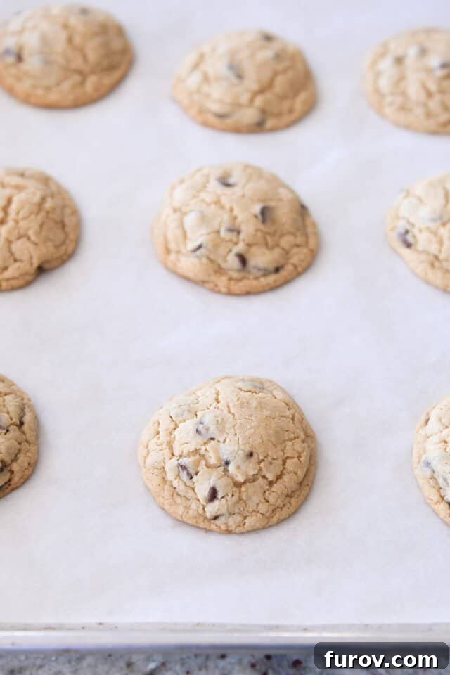 Baked cookies on parchment lined sheet pan.