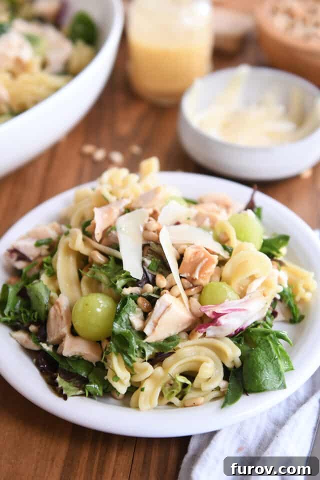 A beautifully plated single serving of Vineyard Chicken and Pasta Salad on a small white plate, ready to be enjoyed.