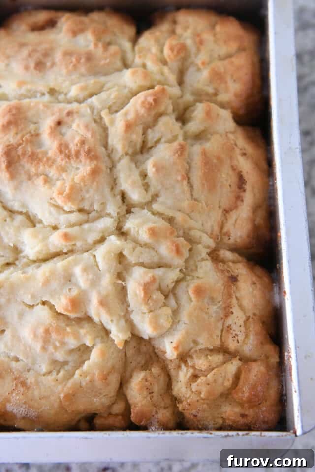 A freshly baked pan of golden-brown Butter Swim Biscuits, sizzling with melted butter around the edges, just out of the oven.