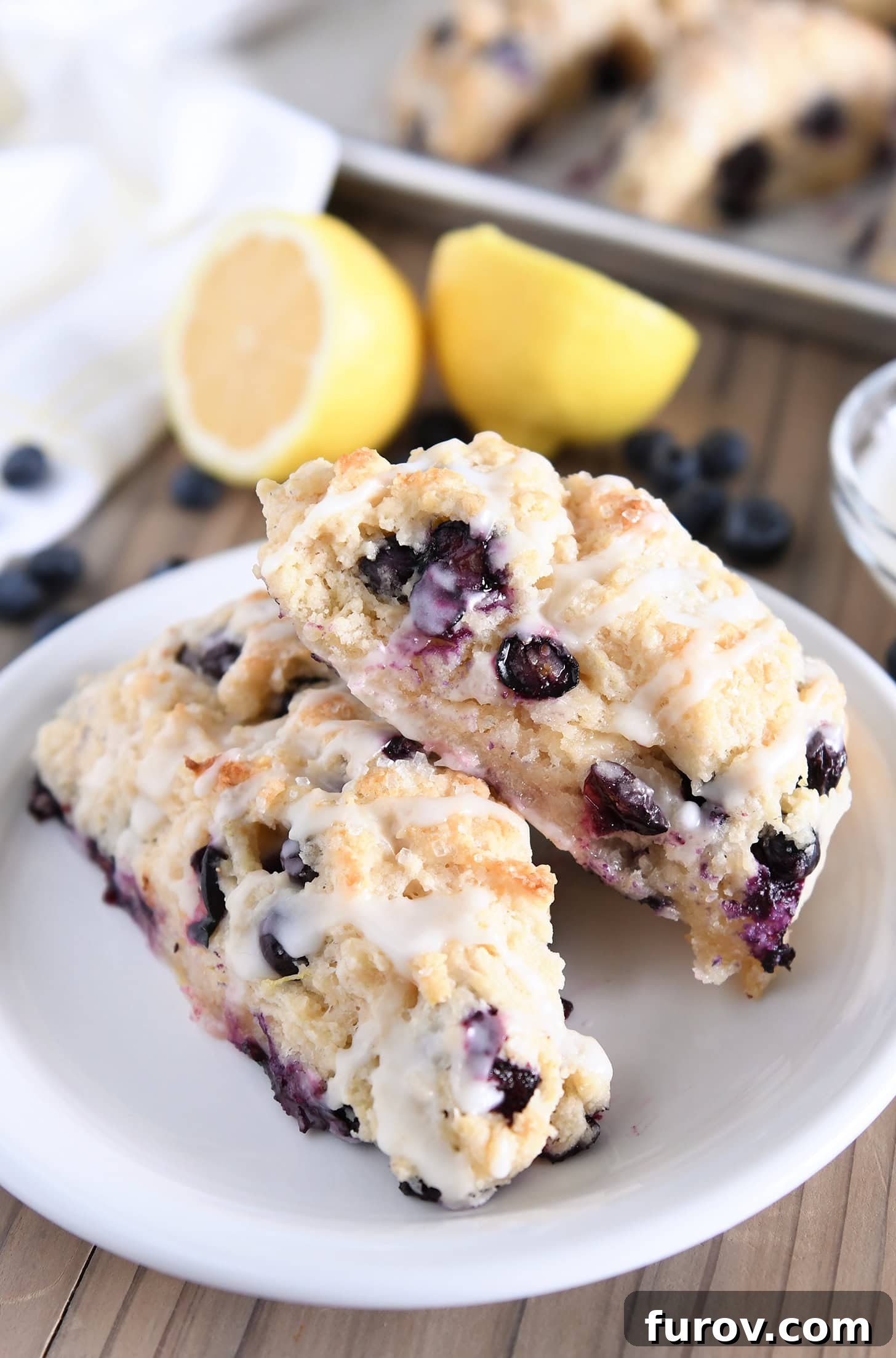featured 127572