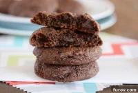 Decadent Greek Yogurt Double Chocolate Cookies