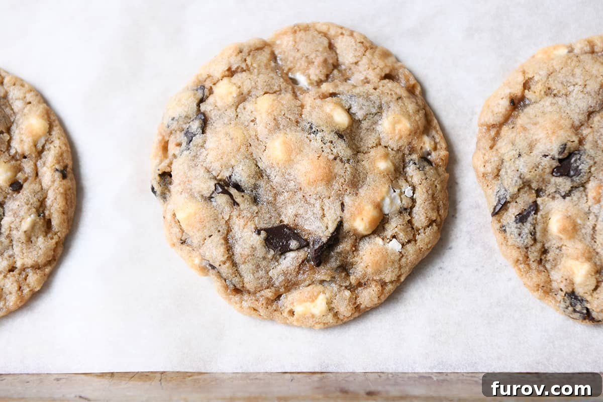 featured 52197