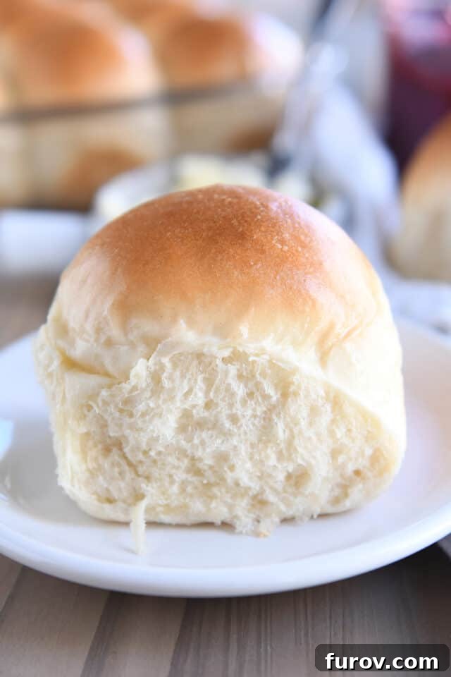 A single, perfectly baked soft and fluffy dinner roll resting on a simple white plate, ready to be enjoyed.