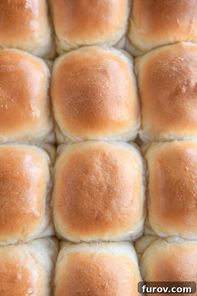 Six perfectly baked, golden-brown soft and fluffy dinner rolls, arranged invitingly.