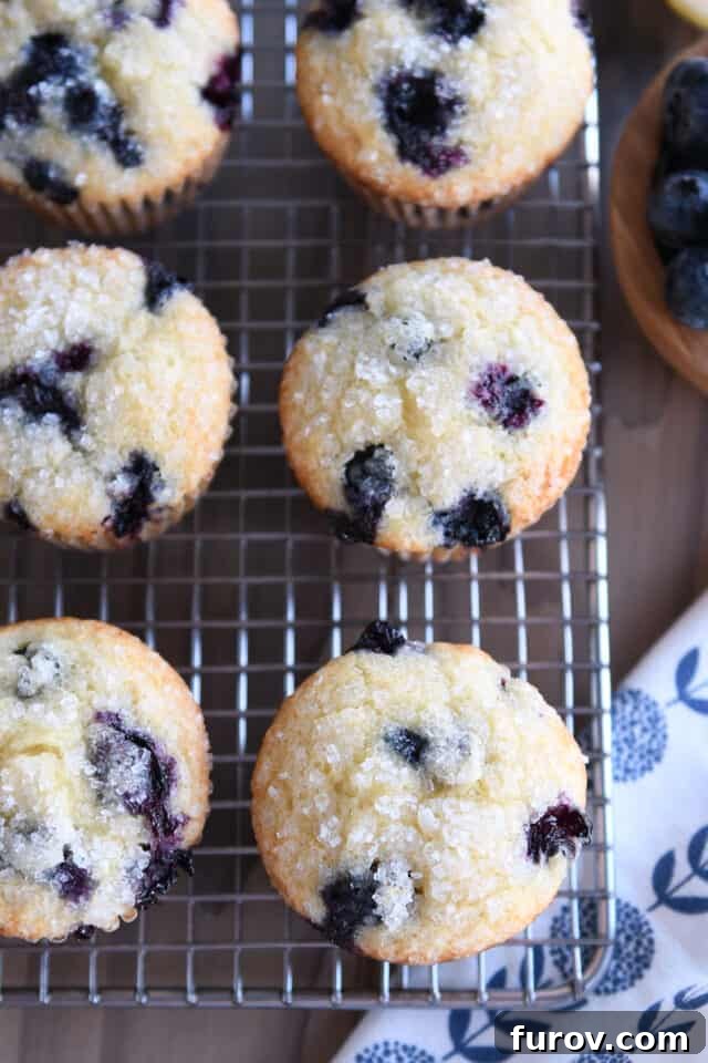 Six fluffy blueberry muffins cooling on a wire rack, showcasing their golden-brown tops and juicy berry peek-throughs.
