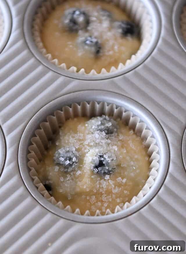 Muffin batter in lined muffin tin, topped with a generous sprinkle of coarse sugar.