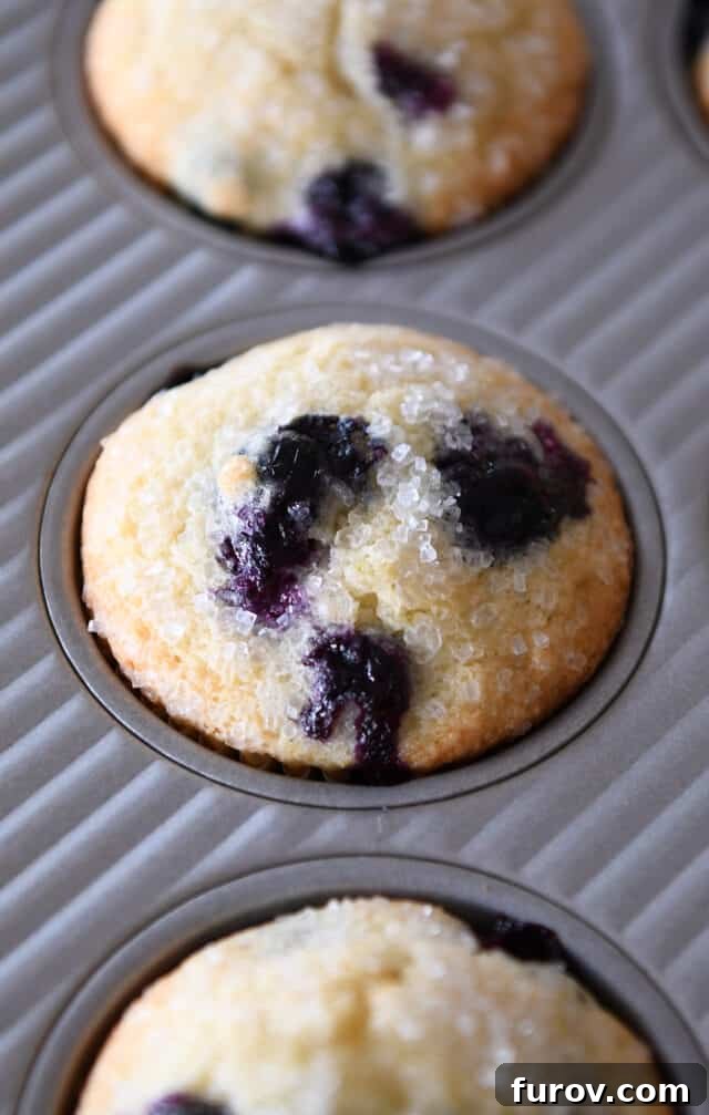 A freshly baked blueberry muffin, perfectly golden, sitting in its paper liner within a muffin tin.