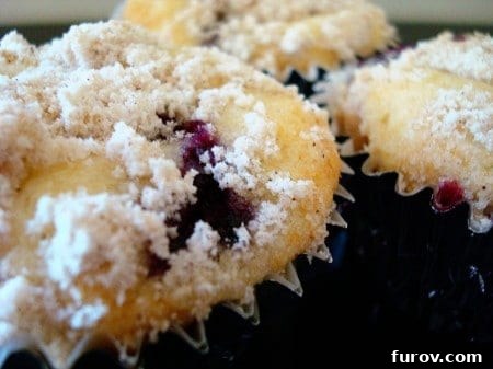 Golden Crumb Blueberry Muffins 2 Freshly baked blueberry crumb muffins with a golden-brown streusel topping, arranged on a cooling rack.