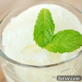 A smaller image of lemon ice in a glass goblet, garnished with mint.