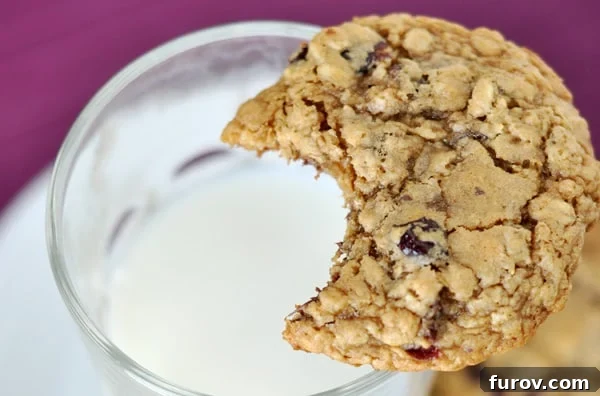 An oatmeal cookie with a bite taken out over a glass cup of milk, suggesting a delightful indulgence.