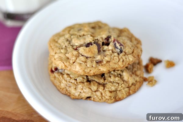 A white plate with two stacked oatmeal cookies, ready to be enjoyed.