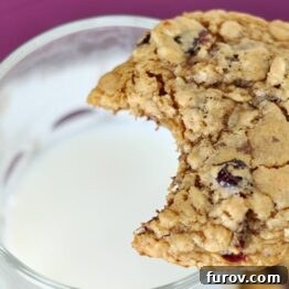 A perfectly baked healthier oatmeal chocolate chip cookie, ready to be enjoyed.