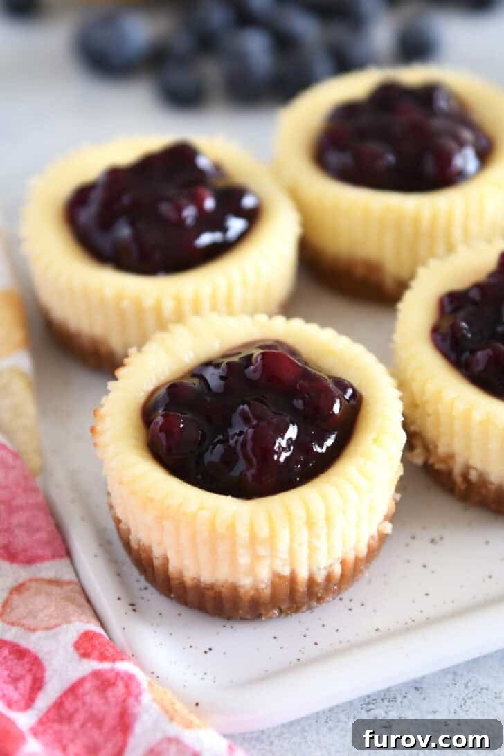 Irresistible Bite-Sized Cheesecakes 2 Four mini cheesecakes with huckleberry topping on white tray.