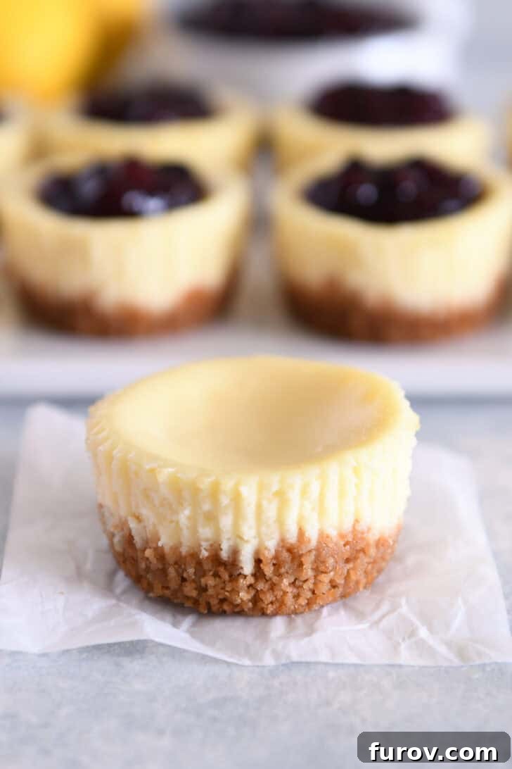 Irresistible Bite-Sized Cheesecakes 11 One untopped plain mini cheesecake on piece of square white parchment paper.