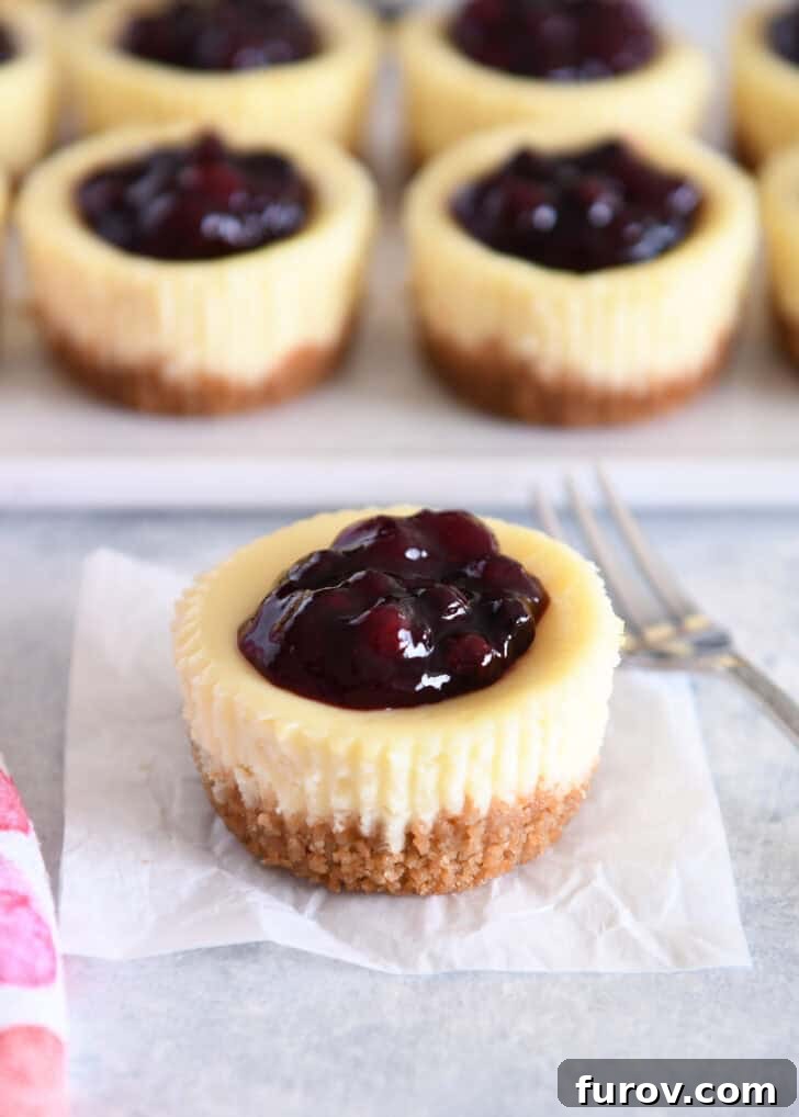 Irresistible Bite-Sized Cheesecakes 12 One mini cheesecake with huckleberry topping with tray of mini cheesecakes in background.
