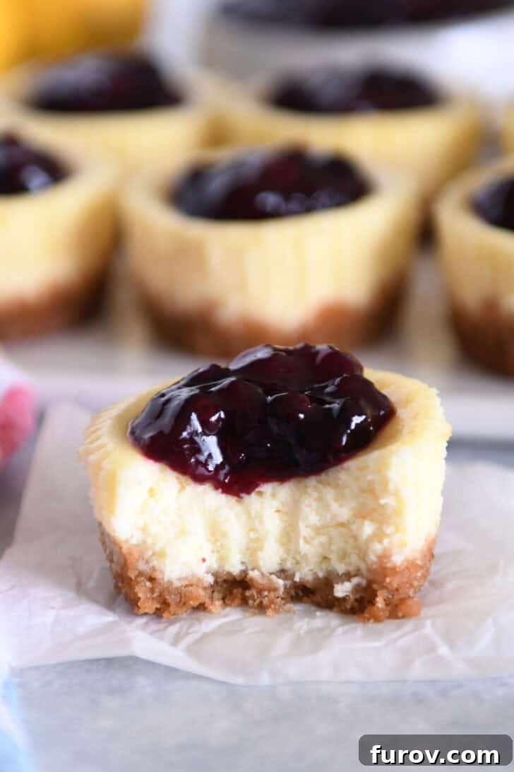 Irresistible Bite-Sized Cheesecakes 13 Mini cheesecake with huckleberry topping with bite removed.
