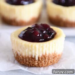 One mini cheesecake with huckleberry topping on piece of white parchment paper.