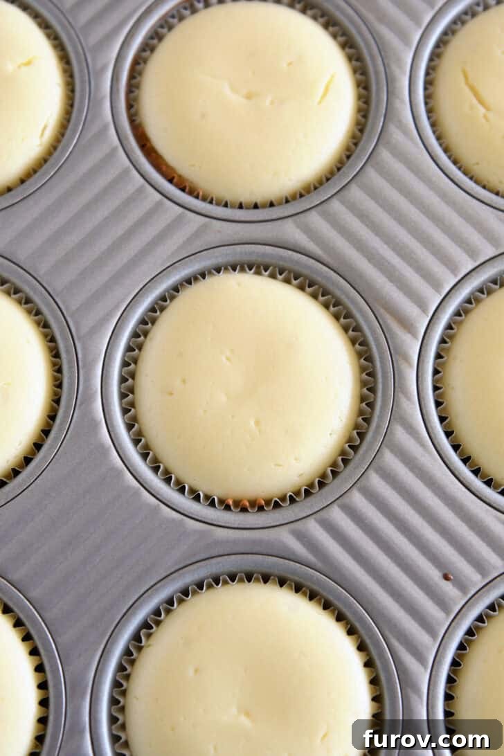 Irresistible Bite-Sized Cheesecakes 10 Top down view of baked mini cheesecakes in muffin tin.