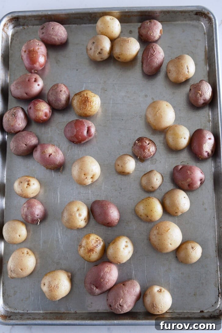 Top down view of small potatoes on half sheet pan.