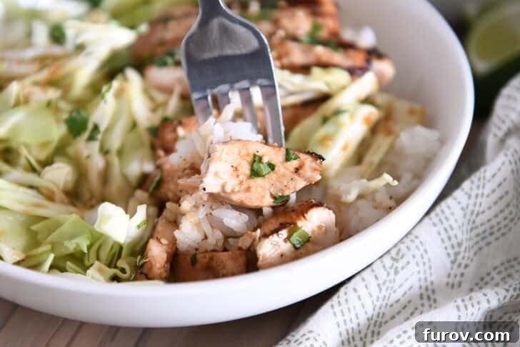Fork with bite of rice, grilled chicken and chopped cilantro.