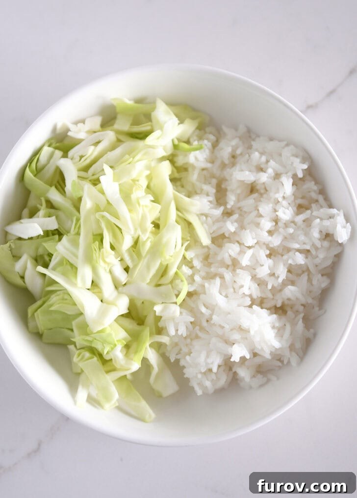 White bowl with chopped cabbage and white rice.