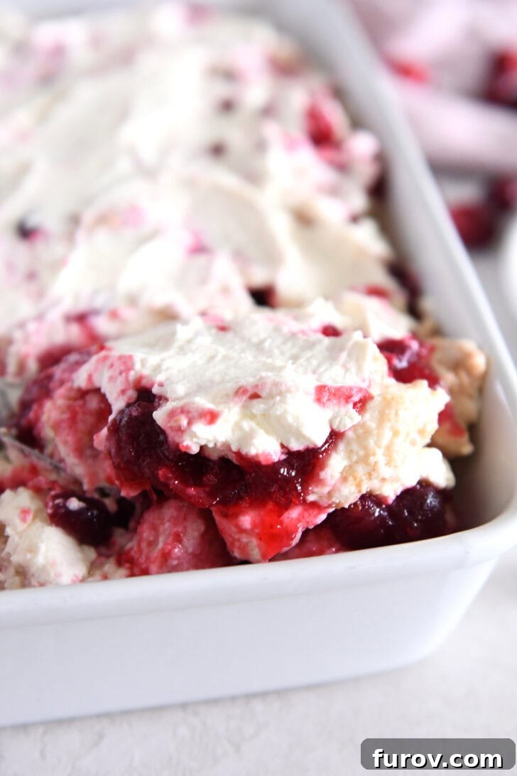 Scoop of cranberry orange angel food cake dessert in white baking pan, showcasing layers of cake, cranberry sauce, and whipped cream.