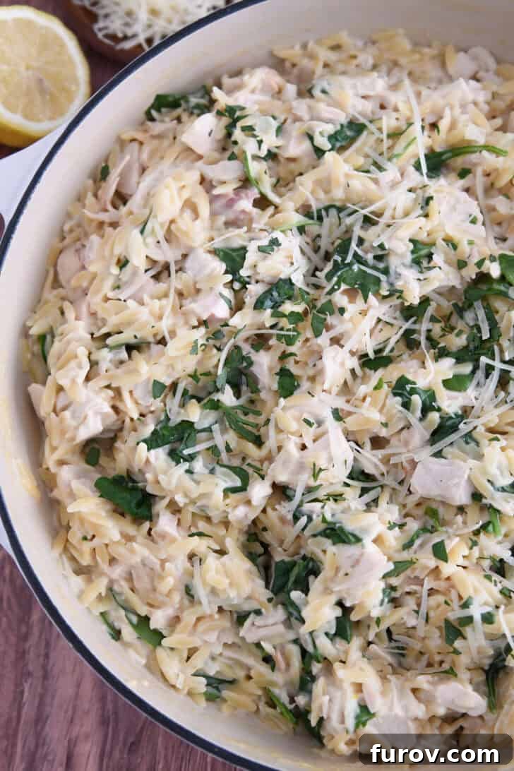Top down view of cooked creamy lemon orzo in white pan with spinach and chicken.