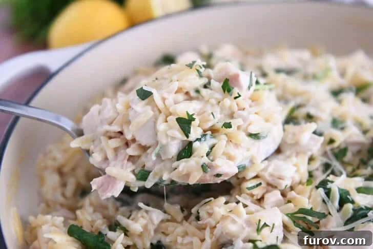 Serving spoon with scoop of creamy orzo, spinach and chicken.
