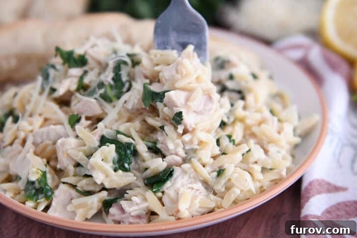 Creamy orzo with spinach and chicken on white plate with fork.