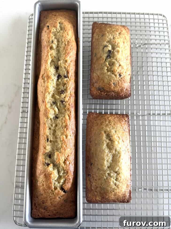 Banana bread in mini loaf pans.