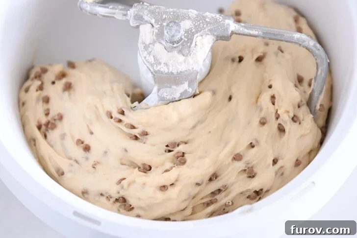 Cinnamon burst bread dough after its first rise, perfectly doubled in volume and filling the bowl of a Bosch stand mixer, with the dough hook still visible.