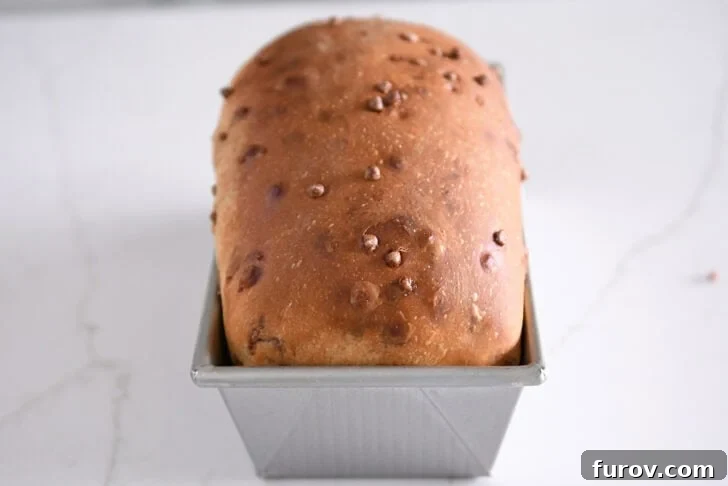 A beautifully baked loaf of Cinnamon Burst Bread, golden brown and still warm in its loaf pan, showing the delightful texture of the crust.