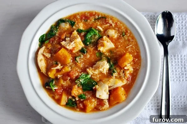 A top-down view of a rustic white bowl showcasing a generous serving of chicken, butternut squash, quinoa, and vibrant spinach stew.