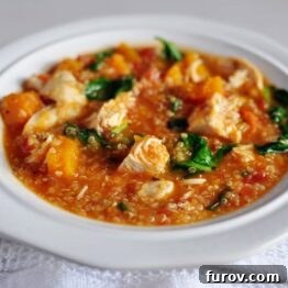 Chicken and Butternut Squash Quinoa Stew image