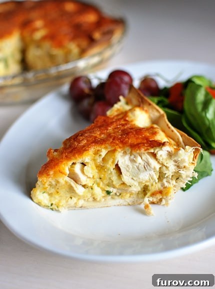 Hearty Chicken Quesadilla Casserole 4 A side view of a generous slice of cheesy chicken quesadilla pie, showcasing its thick, golden crust and cheesy filling. It's presented on a white plate with red grapes and a fresh green salad.