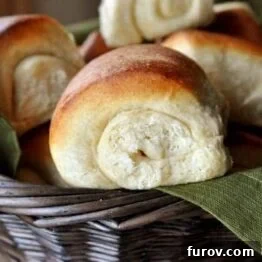 Signature Lion House Dinner Rolls 4 A perfectly baked, golden-brown Lion House Dinner Roll.