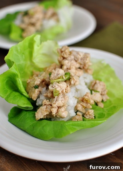 A crisp lettuce leaf filled with savory Asian chicken and fluffy white rice, ready to be enjoyed.