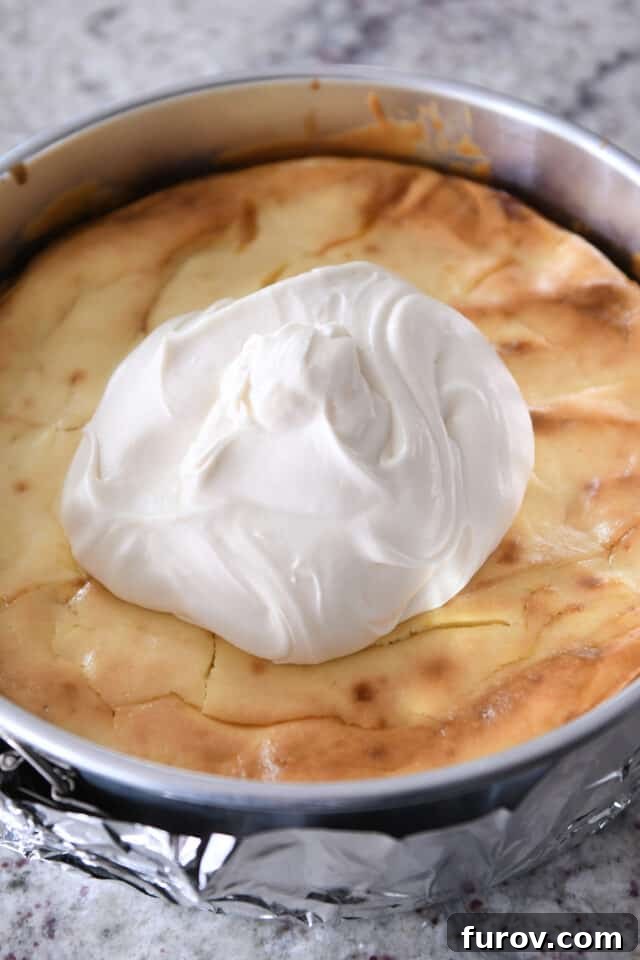 A generous dollop of rich, white cream cheese frosting gently placed onto the perfectly baked Carrot Cake Cheesecake, ready to be spread and finish this exquisite dessert.