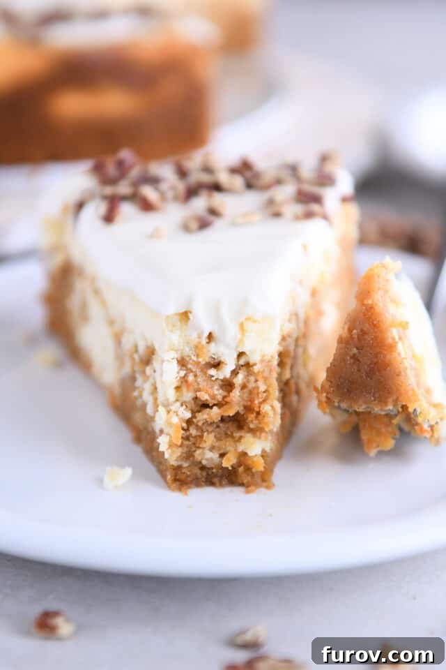 A slice of Carrot Cake Cheesecake on a white plate, with a small bite taken out, showing the layers and creamy texture up close.