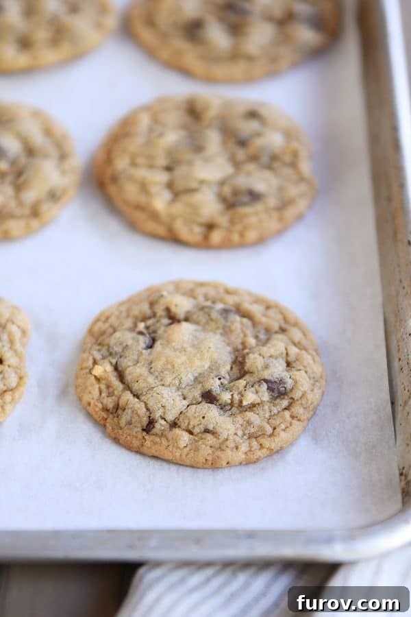 The Ultimate Soft and Chewy Oatmeal Chocolate Chip Coconut Cookies 2 Soft and chewy oatmeal chocolate chip coconut cookies on sheet pan with parchment paper.