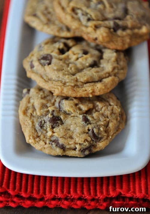 The Ultimate Soft and Chewy Oatmeal Chocolate Chip Coconut Cookies 8 Top view of a rectangular white platter of chocolate chip cookes.