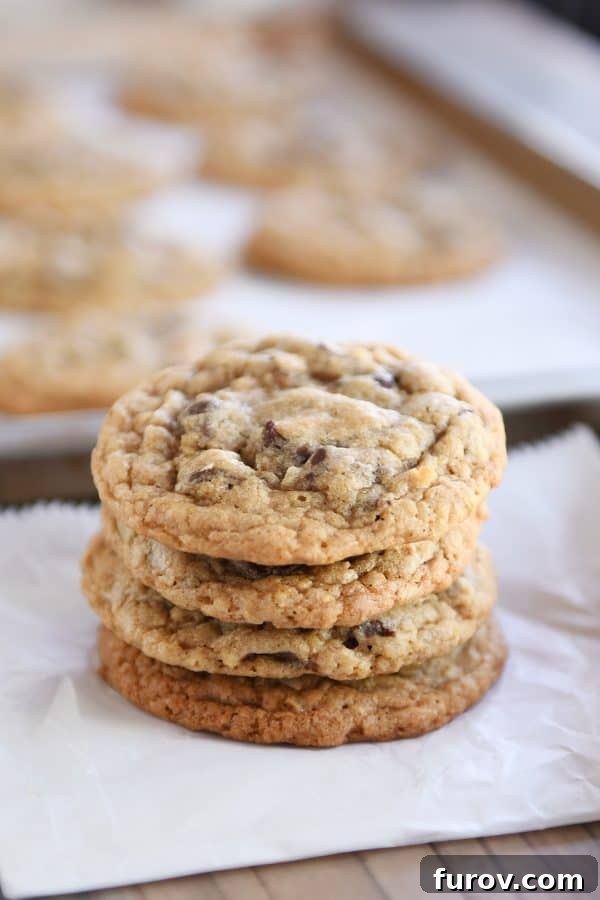 The Ultimate Soft and Chewy Oatmeal Chocolate Chip Coconut Cookies 6 Stack of soft and chewy oatmeal chocolate chip coconut cookies.