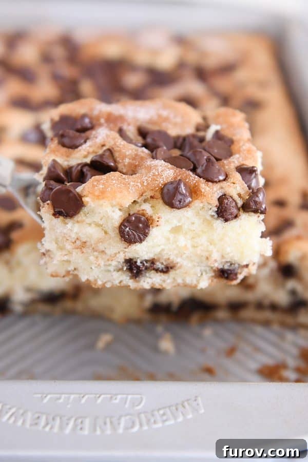 A spatula holding a perfect square slice of fluffy chocolate chip cake, revealing the rich layers within.