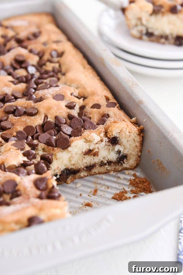 A baked 9x13-inch pan of chocolate chip cake with a slice neatly cut out, showcasing its inviting texture and golden crust.